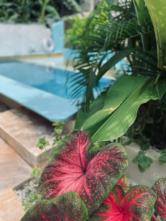 La Sirena Hotel Puerto Escondido  Esterno foto